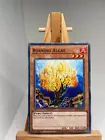 Burning Algae