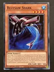 Buzzsaw Shark