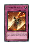 Rare Metalmorph