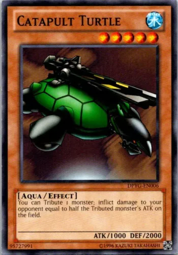 Bujingi Turtle