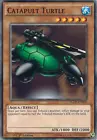 Catapult Turtle