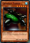Bujingi Turtle