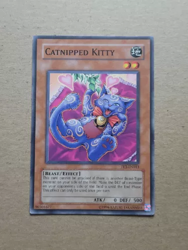 Catnipped Kitty