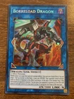 Borreload Dragon