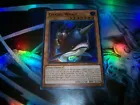 Citadel Whale