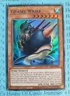 Citadel Whale