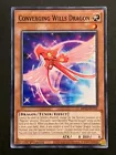Converging Wills Dragon