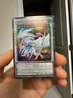 Cosmic Blazar Dragon