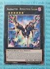 Raidraptor - Revolution Falcon