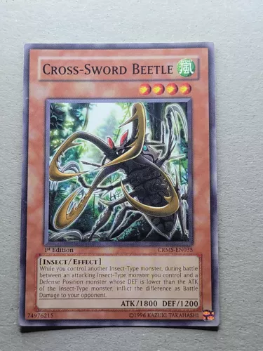 Cross-Sword Beetle