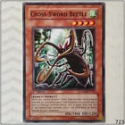 Cross-Sword Beetle