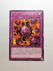 Crush Card Virus