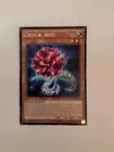 Crystal Rose