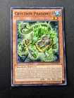 Crystron Prasiortle