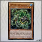 Crystron Prasiortle