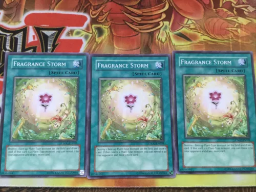 Fragrance Storm