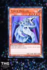 Cyber Dragon