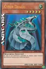 Cyber Dragon