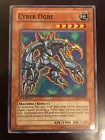 Cyber Ogre