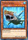 Cyber Shark