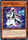 Cyberse Wizard