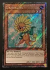Botanical Lion