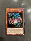 Danger!? Tsuchinoko?