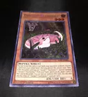 Danger!? Tsuchinoko?