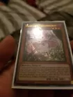 Danger!? Tsuchinoko?