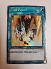 Dark Fusion