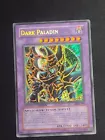 Dark Paladin