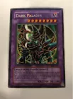 Dark Paladin