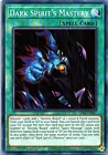 Dark Spirit's Mastery