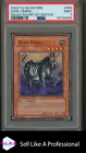 Dark Zebra