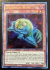 D/D Swirl Slime