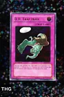 D.D. Trap Hole