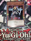 D.D. Warrior Lady
