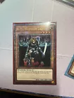 D.D. Warrior Lady