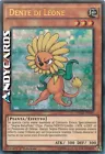 Dandylion