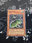 Des Frog