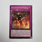 Dinomorphia Frenzy