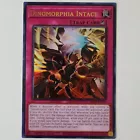 Dinomorphia Intact