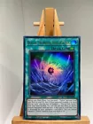 Divine Wrath
