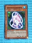 Chrysalis Dolphin