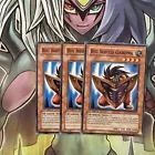 Big Shield Gardna
