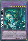 Number 100: Numeron Dragon