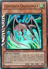 Divine Dragon - Excelion
