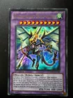 Dragon Knight Draco-Equiste