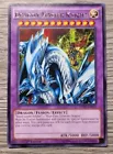 Dragon Master Knight
