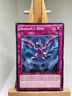 Dragon's Bind